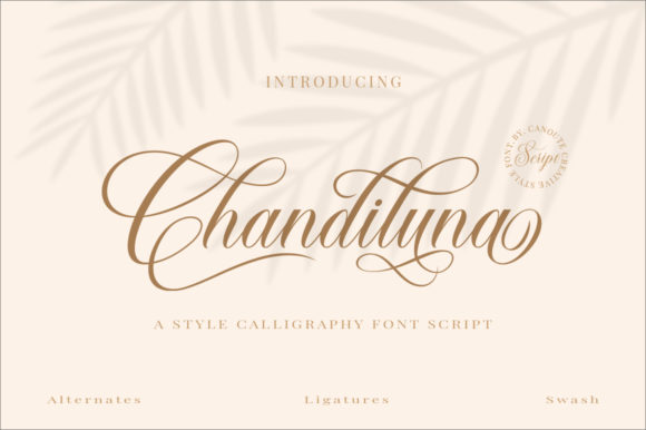 Chandiluna: A Delicate Handwritten Font for Editorial Design