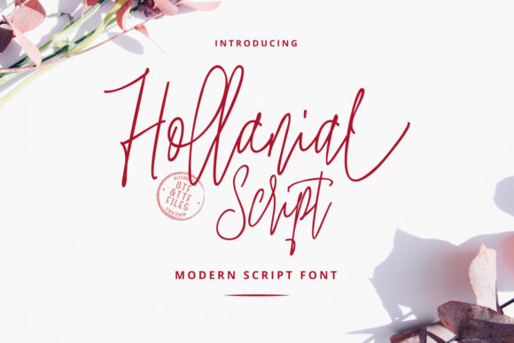 Hollanial: The Modern Script Typeface for Elevated Digital Design