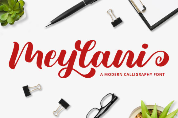 Meylani: The Elegant Script Amp for Polished Brand Identity