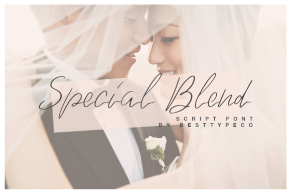 Special Blend: The Script Font That Elevates Campaign Visuals