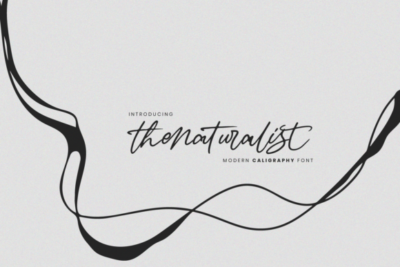 The Naturalist: A Handwritten Font for Authentic Brand Identity